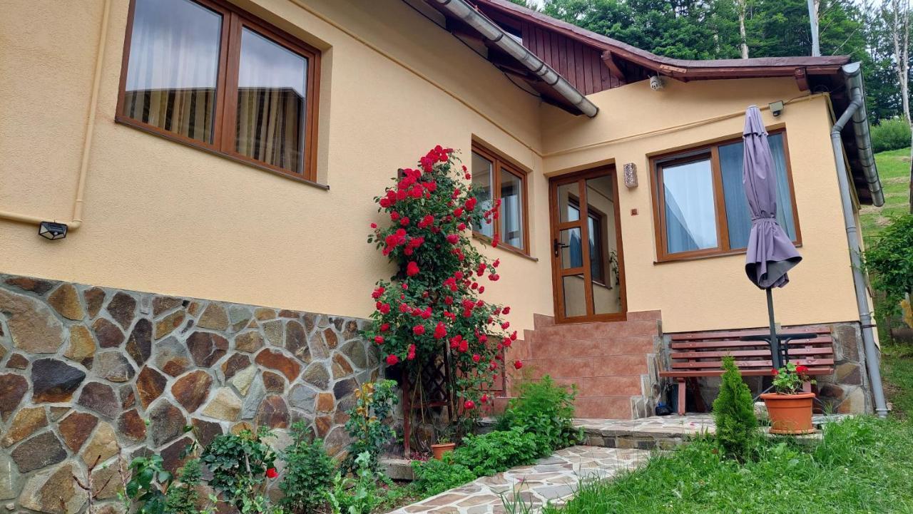 Casa Tex Buşteni Exterior foto