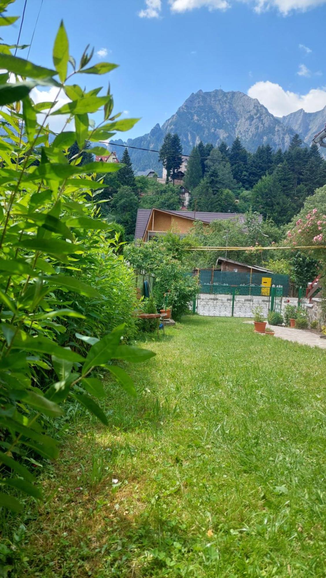 Casa Tex Buşteni Exterior foto