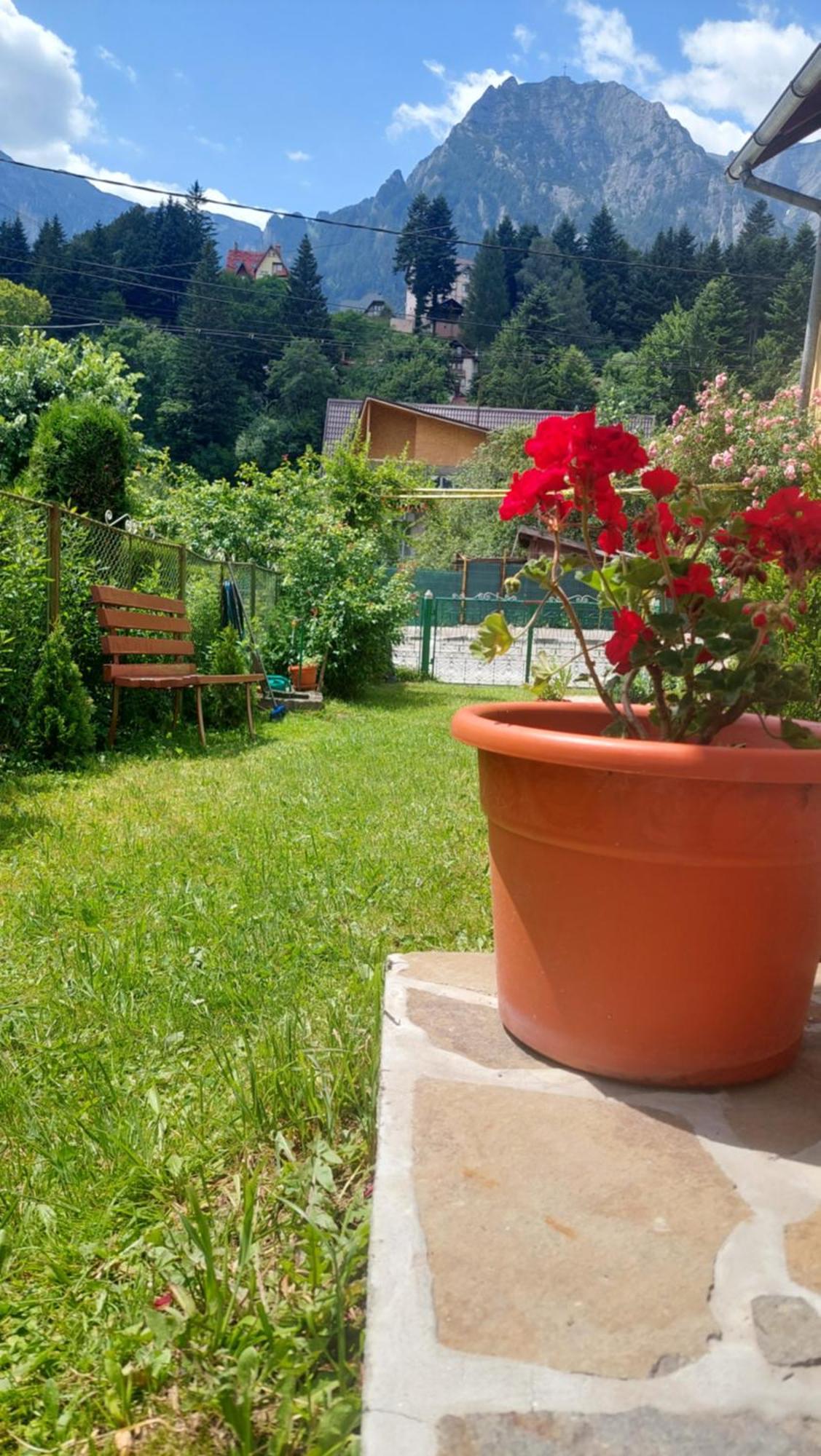 Casa Tex Buşteni Exterior foto